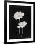 Gramercy Black