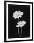 Gramercy Black