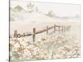 Stretched Canvas