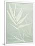 Gramercy White