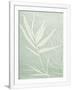 Gramercy White