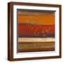 Brown Frame