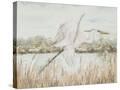 Stretched Canvas