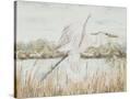 Stretched Canvas