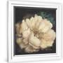 Gramercy White