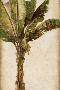 Just the Print