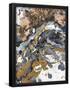 Essential Black
