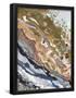 Essential Black
