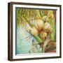 Patricia's Coconuts II-Patricia Pinto-Framed Premium Giclee Print