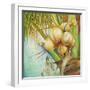 Patricia's Coconuts II-Patricia Pinto-Framed Premium Giclee Print