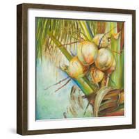 Patricia's Coconuts II-Patricia Pinto-Framed Art Print