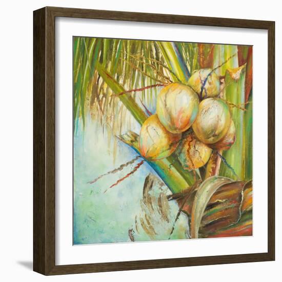 Patricia's Coconuts II-Patricia Pinto-Framed Art Print