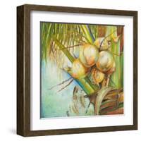 Patricia's Coconuts II-Patricia Pinto-Framed Art Print