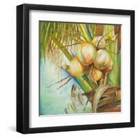 Patricia's Coconuts II-Patricia Pinto-Framed Art Print