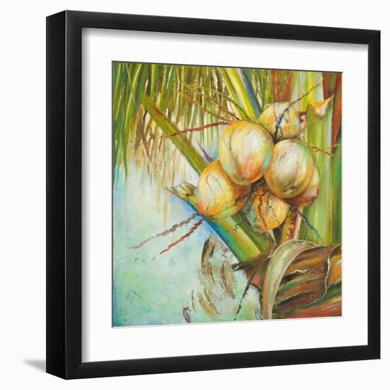 Patricia's Coconuts II-Patricia Pinto-Framed Art Print