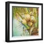 Patricia's Coconuts II-Patricia Pinto-Framed Art Print