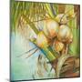 Patricia's Coconuts II-Patricia Pinto-Mounted Art Print