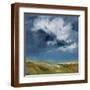Brown Frame