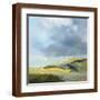Brown Frame