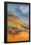 Essential Black