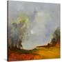 Stretched Canvas