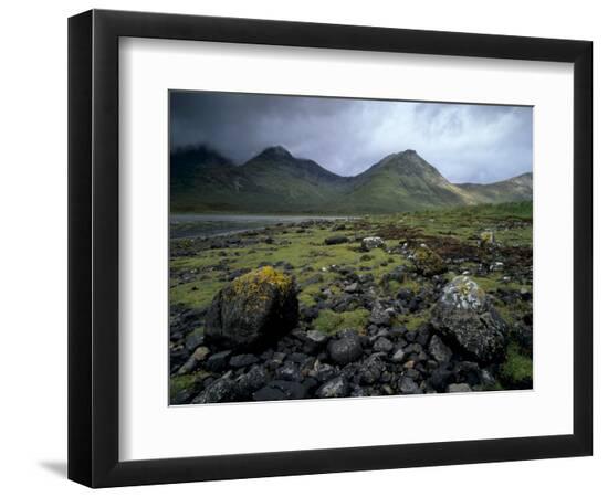 Premium Photographic Print, , large