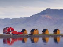 Icelandic horses, near Hofn, Hornafjordur mountains and glaciers behinD-Patrick Dieudonne-Photographic Print