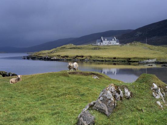 Photographic Print, , large