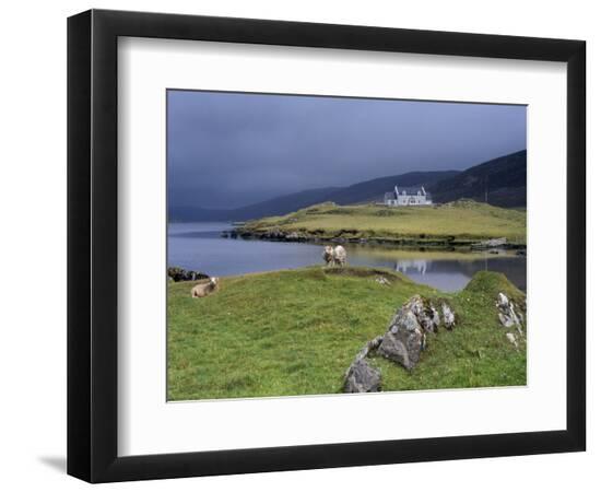 Premium Photographic Print, , large