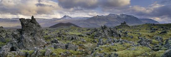Premium Photographic Print, , large