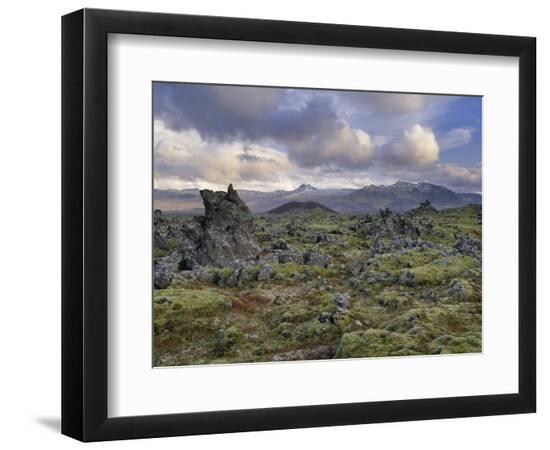 Premium Photographic Print, , large
