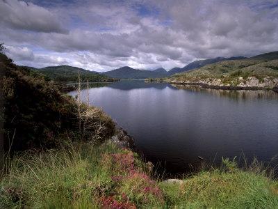 View of Upper Lake, Lakes of Killarney, Ring of Kerry, County Kerry, Munster, Republic of Ireland
