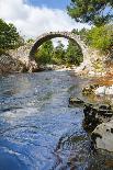 Carrbridge, oldest stone bridge in the Highlands, Scotland-Patrick Frischknecht-Photographic Print