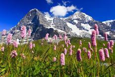 Swiss Alps, Eiger and Moench, Bernese Oberland, Switzerland-Patrick Frischknecht-Photographic Print