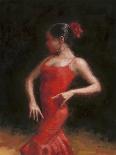 Flamenco II-Patrick Mcgannon-Art Print