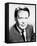 Patrick McGoohan-null-Framed Stretched Canvas