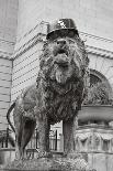 Chicago Art Institute Lion-Patrick Warneka-Photographic Print