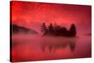 Stretched Canvas