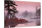Stretched Canvas