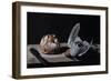 Patridge and Bread-James Gillick-Framed Giclee Print