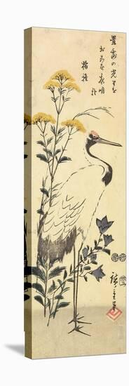 Patrinia, Chinese Bellflower and a Crane, March 1853-Utagawa Hiroshige-Stretched Canvas