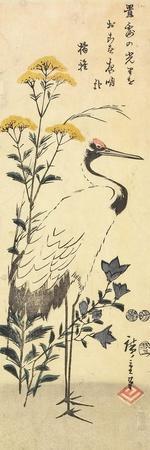 https://imgc.allpostersimages.com/img/posters/patrinia-chinese-bellflower-and-a-crane-march-1853_u-L-Q1HLBQ80.jpg?artPerspective=n