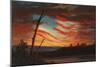 Patriotic and Symbolic Painting after the Attack on Fort Sumter-Stocktrek Images-Mounted Art Print