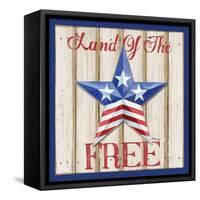 Patriotic Barn Star I-Paul Brent-Framed Stretched Canvas