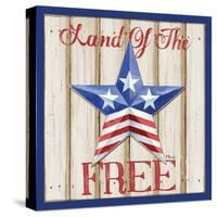 Patriotic Barn Star I-Paul Brent-Stretched Canvas