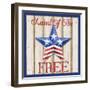 Patriotic Barn Star I-Paul Brent-Framed Art Print