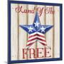 Patriotic Barn Star I-Paul Brent-Mounted Art Print