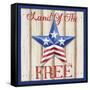 Patriotic Barn Star I-Paul Brent-Framed Stretched Canvas