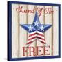 Patriotic Barn Star I-Paul Brent-Stretched Canvas