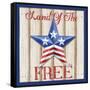 Patriotic Barn Star I-Paul Brent-Framed Stretched Canvas